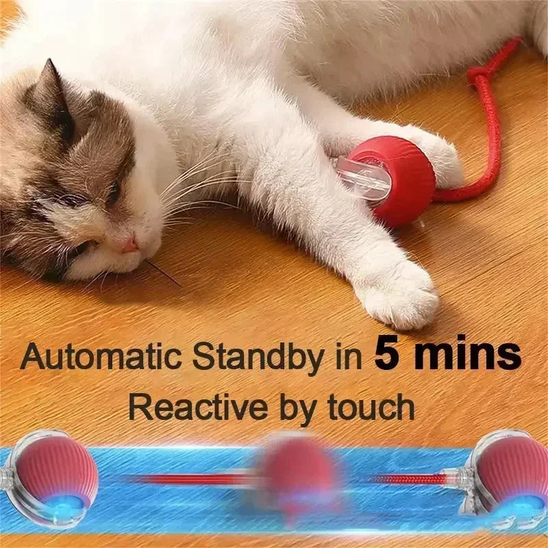 PawplayToys™ Interactive Ball Toy