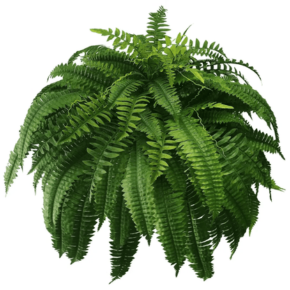 Siste dag 70% AVSLAG - UV-bestandig livaktig kunstig Boston Fern