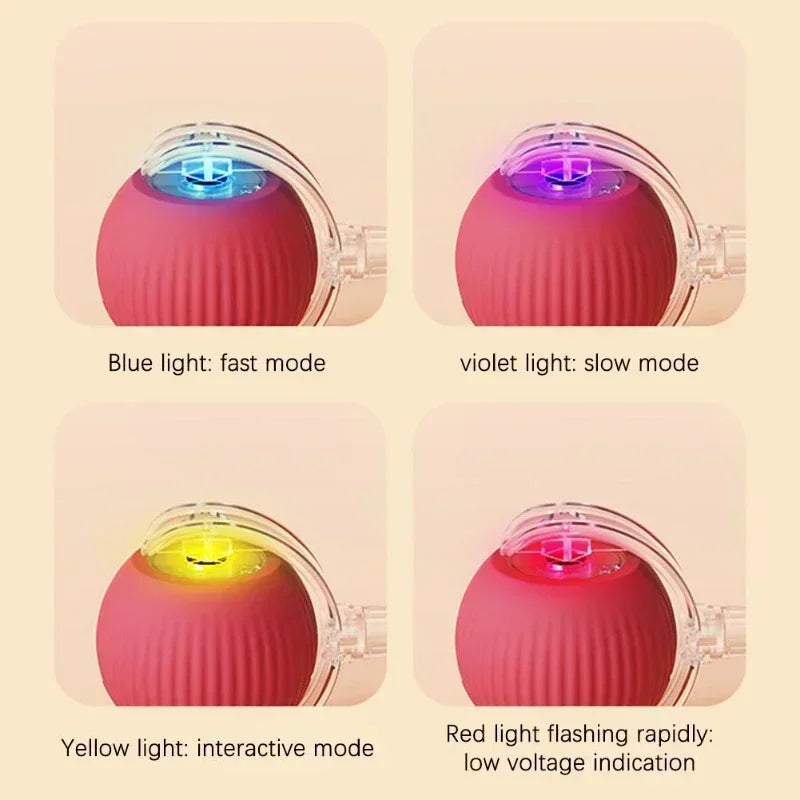 PawplayToys™ Interactive Ball Toy
