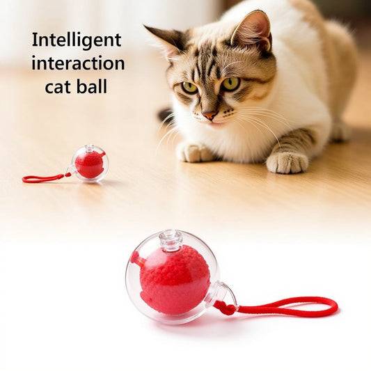 PawplayToys™ Interactive Ball Toy